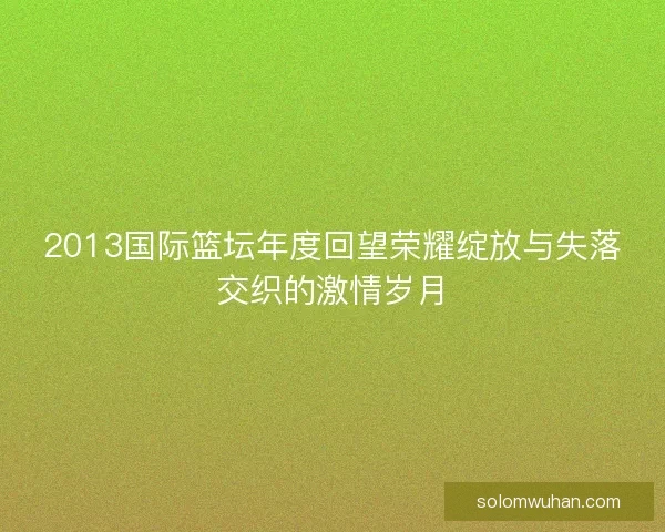 2013国际篮坛年度回望荣耀绽放与失落交织的激情岁月